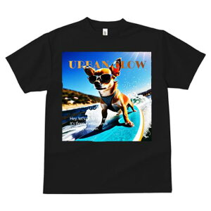 TVc fB[X t@  t  vg JWA 킢 lԗp tBbglX _X TOX ` T[t{[h g C r[`