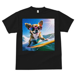 TVc fB[X t@  t  vg JWA 킢 lԗp tBbglX _X T[t{[h ` TOX C r[`