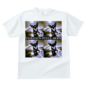 TVc fB[X t@  t  vg JWA 킢 lԗp tBbglX _X ] ` g T[tB 