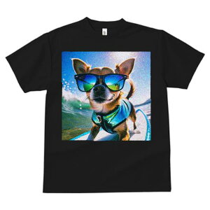 TVc fB[X t@  t  vg JWA 킢 lԗp tBbglX _X T[t{[h ` TOX C g 