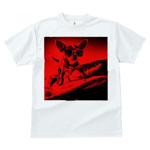 TVc fB[X t@  t  vg JWA 킢 lԗp tBbglX _X T[tB ` TOX C g X|[c