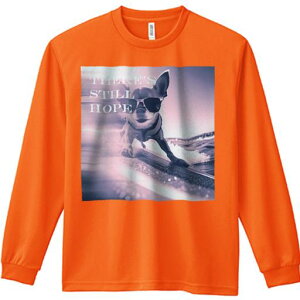 TVc lԗp Y Ht vg W[ AEghA JWA 킢 t@ TOX ` T[tB C g