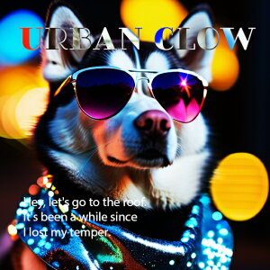 TOX VxAnXL[ JtCg hȃXJ[t NbVJo[ 45×45cm Aj}   NbV{̕t ` t@