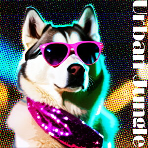 TOX VxAnXL[ XJ[t A[oWO |bvA[g Jt NbVJo[ 45×45cm Aj}   NbV{̕t ` t@