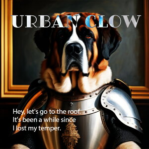 A[}[ Zgo[i[h G t[ NbVJo[ 45×45cm Aj}   NbV{̕t ` t@