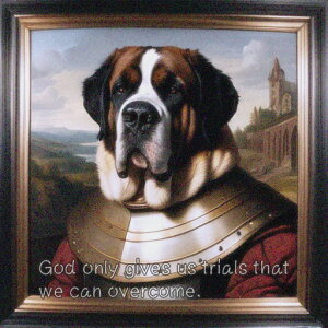 ё Zgo[i[h Rm t[ i NbVJo[ 45×45cm Aj}   NbV{̕t ` t@