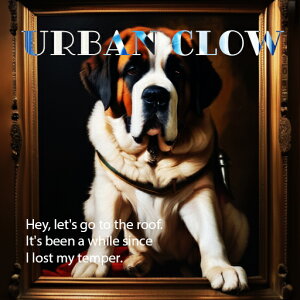 z Zgo[i[h G eLXg NbVJo[ 45×45cm Aj}   NbV{̕t ` t@