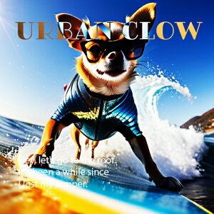 T[tB ` C TOX EFbgX[c NbVJo[ 45×45cm Aj}   NbV{̕t ` t@