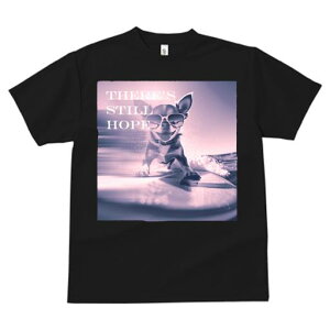 TVc fB[X t@  t  vg JWA 킢 lԗp tBbglX _X TOX ` T[t{[h C g