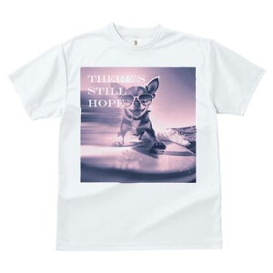 TVc fB[X t@  t  vg JWA 킢 lԗp tBbglX _X TOX ` T[t{[h C g