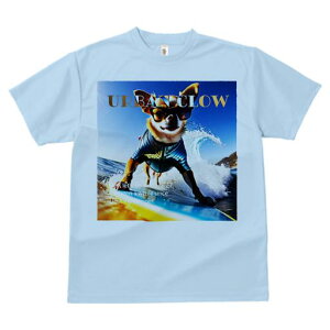 TVc Y LbY t@  t  vg JWA 킢 lԗp tBbglX _X T[tB ` C TOX EFbgX[c