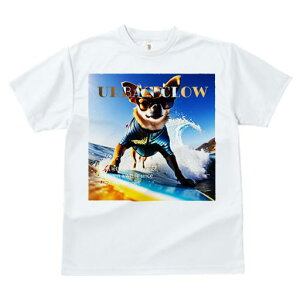 TVc fB[X t@  t  vg JWA 킢 lԗp tBbglX _X T[tB ` C TOX EFbgX[c