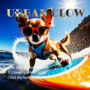 TOX ` T[t{[h g z NbVJo[ 45×45cm Aj}   NbV{̕t ` t@