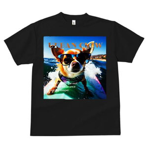 TVc fB[X t@  t  vg JWA 킢 lԗp tBbglX _X TOX ` T[tB C