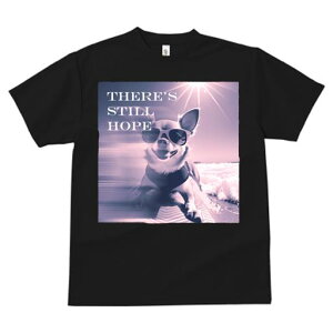 TVc fB[X t@  t  vg JWA 킢 lԗp tBbglX _X TOX ` r[` g z T[t{[h