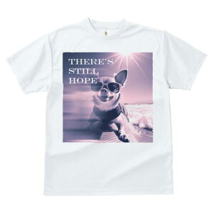 TVc fB[X t@  t  vg JWA 킢 lԗp tBbglX _X TOX ` r[` g z T[t{[h