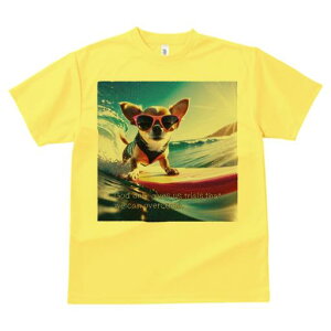 TVc Y LbY t@  t  vg JWA 킢 lԗp tBbglX _X T[tB ` TOX g r[`