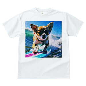 TVc fB[X t@  t  vg JWA 킢 lԗp tBbglX _X TOX ` T[tB C g T[t{[h