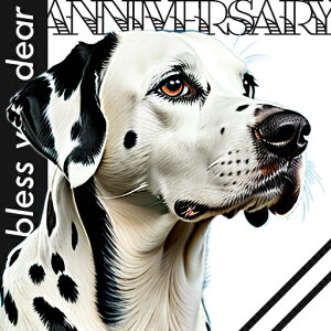 F _VA _ fUC G  NbVJo[ 45×45cm Aj}   NbV{̕t ` t@