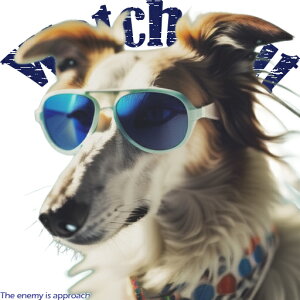 TOX {[_[R[ hbg̎ NbVJo[ 45×45cm Aj}   NbV{̕t ` t@