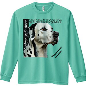 TVc lԗp Y Ht vg W[ AEghA JWA 킢 t@ F _VA _ fUC G 