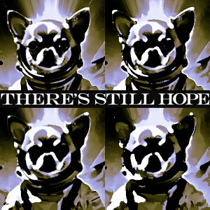 F ` ] TCPfbN NbVJo[ 45×45cm Aj}   NbV{̕t ` t@