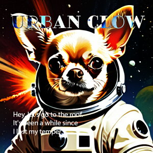 F ` F Fsm f NbVJo[ 45×45cm Aj}   NbV{̕t ` t@