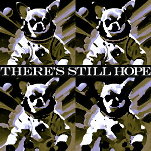 F ]  NbVJo[ 45×45cm Aj}   NbV{̕t ` t@