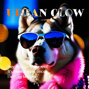 TOX VxAnXL[ hȐF̃}t[ i eLXg NbVJo[ 45×45cm Aj}   NbV{̕t ` t@