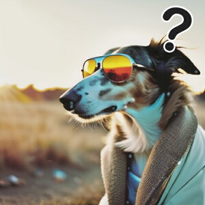 TOX {[_[R[ }t[ [ NbVJo[ 45×45cm Aj}   NbV{̕t ` t@