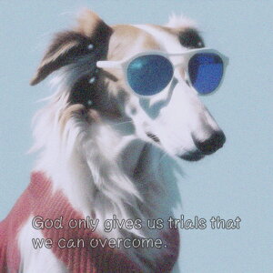 TOX {]C Z[^[ N[ X^CbV NbVJo[ 45×45cm Aj}   NbV{̕t ` t@