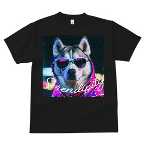 TVc fB[X t@  t  vg JWA 킢 lԗp tBbglX _X TOX VxAnXL[ hȃlbNX lI