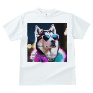 TVc fB[X t@  t  vg JWA 킢 lԗp tBbglX _X TOX VxAnXL[ tFU[{A i