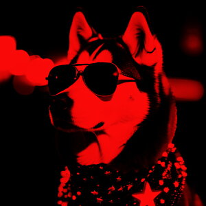 TOX VxAnXL[ XJ[t   NbVJo[ 45×45cm Aj}   NbV{̕t ` t@