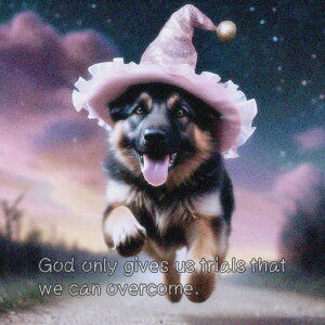  W[}VFp[hhbO i  Xq NbVJo[ 45×45cm Aj}   NbV{̕t ` t@