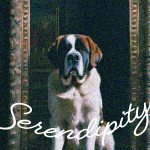 z Zgo[i[h NbVJo[ 45×45cm Aj}   NbV{̕t ` t@