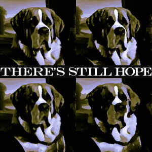 ] Zgo[i[h CXs[V `x[V |X^[A[g NbVJo[ 45×45cm Aj}   NbV{̕t ` t@