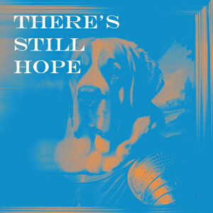 wbg ̑ G ] NbVJo[ 45×45cm Aj}   NbV{̕t ` t@