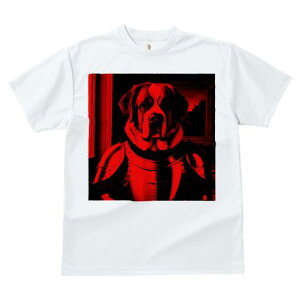 TVc fB[X t@  t  vg JWA 킢 lԗp tBbglX _X Z Zgo[i[h G 