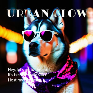 TOX VxAnXL[ ̊X lITC XJ[t NbVJo[ 45×45cm Aj}   NbV{̕t ` t@