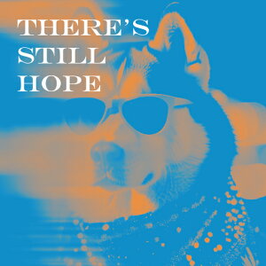 TOX Č hȕ ] NbVJo[ 45×45cm Aj}   NbV{̕t ` t@