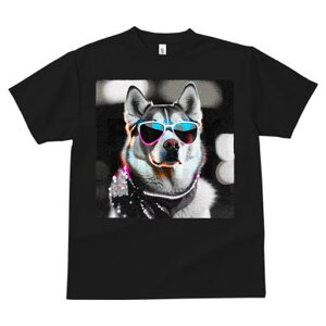 TVc fB[X t@  t  vg JWA 킢 lԗp tBbglX _X TOX VxAnXL[ o_i ^̃lbNX