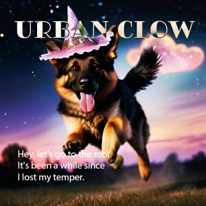 Xq W[}VFp[h @   Ő NbVJo[ 45×45cm Aj}   NbV{̕t ` t@