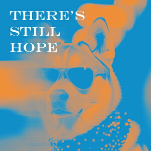 TOX Č ] XJ[t NbVJo[ 45×45cm Aj}   NbV{̕t ` t@