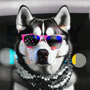 Kl VxAnXL[ XJ[t mN NbVJo[ 45×45cm Aj}   NbV{̕t ` t@