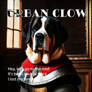 A[oNE Zgo[i[h Rm EBhE ؐ̃CeA NbVJo[ 45×45cm Aj}   NbV{̕t ` t@