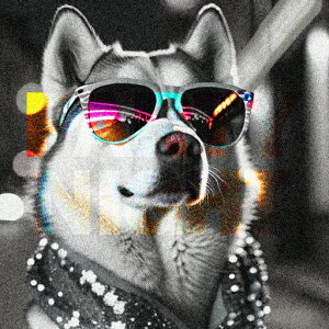 Kl VxAnXL[ o_i  Cg NbVJo[ 45×45cm Aj}   NbV{̕t ` t@