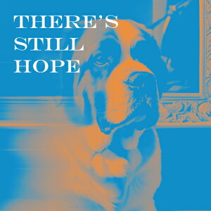 z Zgo[i[h ] Ƃ̒ NbVJo[ 45×45cm Aj}   NbV{̕t ` t@