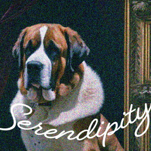 ё Zgo[i[h z  NbVJo[ 45×45cm Aj}   NbV{̕t ` t@