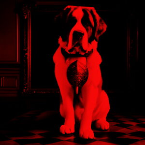 ԂƖ Zgo[i[h G̃t[ ^C̏ NbVJo[ 45×45cm Aj}   NbV{̕t ` t@